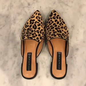 Steven by Steve Madden leopard mule